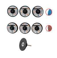 Set of 6 Mini Flap Discs with Backing Pad EvoTools®