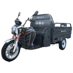 Greuceanu Electric Cargo Tricycle TRCC1500N