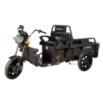 Praslea Electric Cargo Tricycle TRCC800